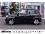 Fiat Panda Hybrid 1.0 GSE NEUES MODELL 2024 CITY TEMP - mit Benzin-Antrieb: Kleinwagen, 1.0