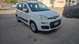 Fiat Panda 1.3 MJT 95 CV S&S Lounge - Fiat Panda LOUNGE mit Diesel-Antrieb