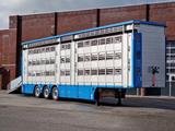 Pezzaioli New 3 stock livestock trailer 95.4M2 - Water & V