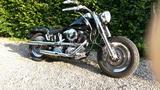 Harley-Davidson Fat-Boy FXST - Offers