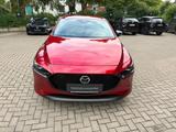 Mazda 3 5HB 2.5L e-SKYACTIV G 140ps 6AT FWD Homura - Mazda 3: Kombi