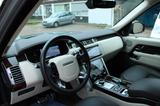 Land Rover Range Rover Westminster Pano 360° Luft Hybrid - Land Rover Range Rover: Westminster