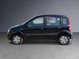 Fiat Panda 1.2 8V Dynamic - Fiat Panda: mit Anhängerkupplung