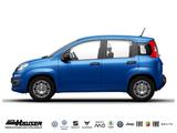 Fiat Panda Hybrid 1.0 GSE PANDINA KLIMA PDC - Fiat Panda Gebrauchtwagen