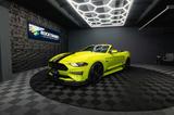 Ford Mustang Shelby GT 500 5.0 V8 PREMIUM Performance - gebrauchte Ford Mustang aus dem Jahr 2020
