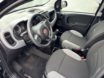 Bild 9 Fiat Panda Base 1.0 Mild Hybrid DAB Klima teilb.Rücks