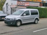 Volkswagen Caddy Kasten/Kombi Roncalli Trendline - Volkswagen Caddy: Roncalli Trendline