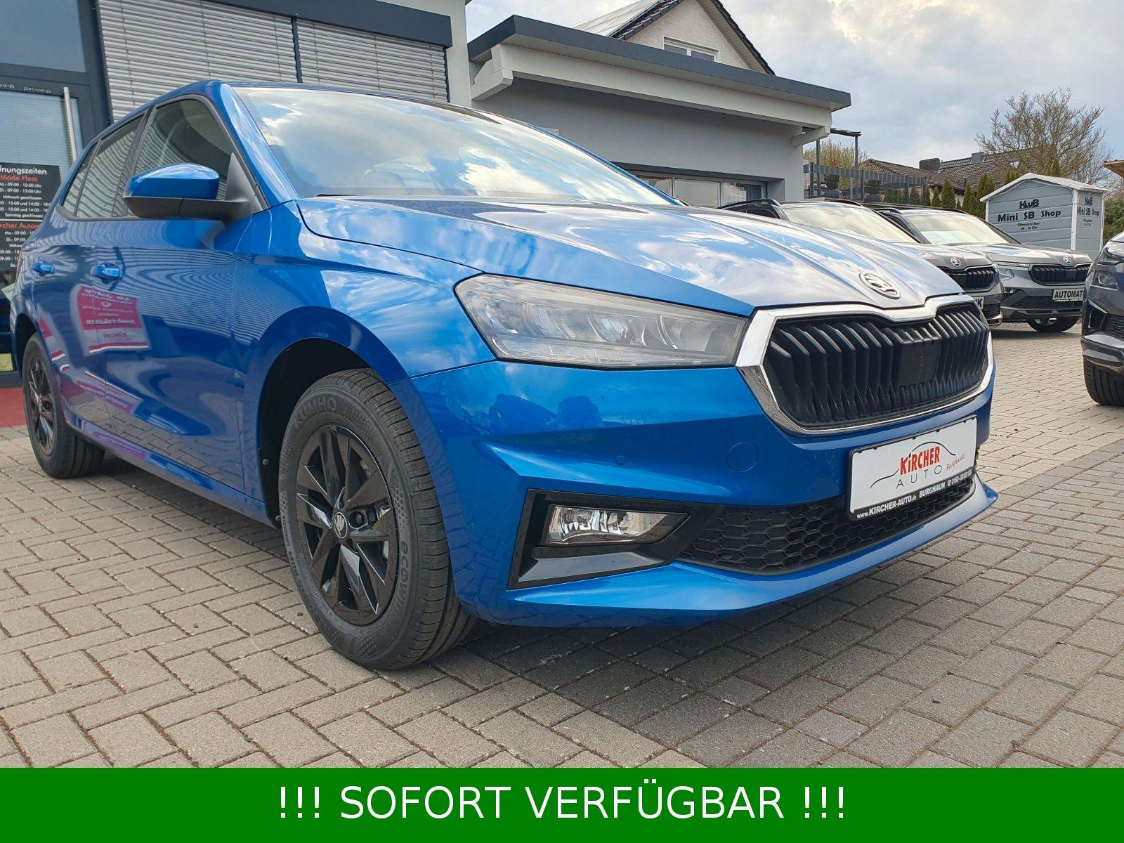 Skoda Fabia TSI Selection Plus *Kamera*Climatronic*