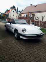Alfa Romeo Spider - Alfa Romeo aus 1988