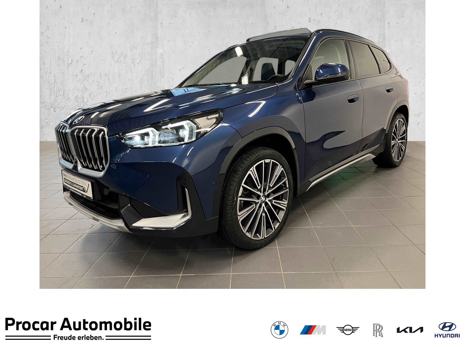 BMW X1 sDrive20i xLine HUD PANO ACC AHK 360°KAM LM