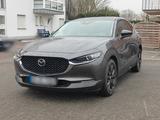 Mazda CX-30 Homura *HUD*R.Kamera*CarPlay*PDCv&h*  - Mazda CX-30 von privat