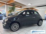Fiat 500 Cult 1.2 8V Leder Klimaautom Tel.-Vorb. PDC  - Fiat 500 Gebrauchtwagen in Bonn
