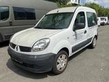 Renault Kangoo Kaleido - Renault Kangoo in Braunschweig