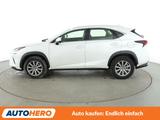 Lexus NX-Serie NX 300h Amazing Edition Aut.*LED*CAM* - Lexus: Nx