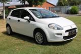 Fiat Punto LOUNGE - Fiat Punto mit Diesel-Antrieb