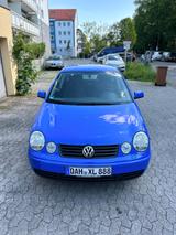 Volkswagen Polo 1.4 Cricket Servo Scheckheft TÜV Sitzheizun - Volkswagen Polo: Cricket