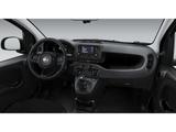 Fiat Panda (Pandina) ICON Hybrid Parksensoren Klimaan - Fiat Panda: Schwarz