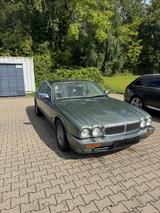 Jaguar Daimler Six (X300) 4.0L  - Jaguar Daimler: 4.0