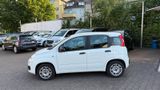 Fiat Panda Easy *PhoneConnect*Klima*AnhängerKupplung* - Fiat: Anhängerkupplung