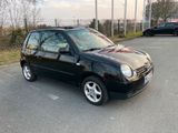 Volkswagen VW Lupo mit Faltdach - VW Lupo Gebrauchtwagen in Hannover