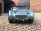 Austin Healey MK I - gebrauchte Austin Healey Roadster