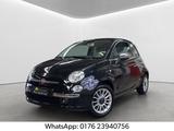 Fiat 500 1.2 Pop Star-PDC/KLIMA/LEDER/Berganfahr - Fiat 500: Star