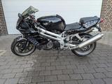 Aprilia SL1000 Falco - APRILIA SL 1000 FALCO