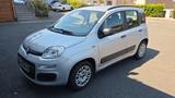 Fiat Panda POP 1.2 1.Hand Tüv neu 61tkm Garagenwagen - Fiat Panda in Hagen