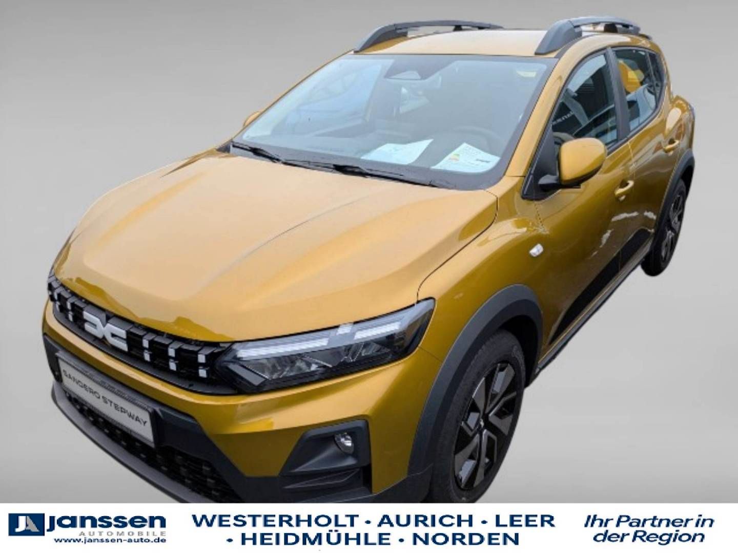 Fahrzeugabbildung Dacia Sandero Stepway Expression TCe 110