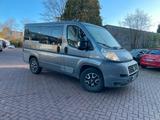 Fiat Ducato 9 sitzer 2,3l - Fiat Ducato: Kleinbus, Sitzer 9