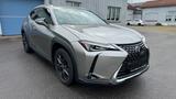 Lexus UX 250h Executive Line, Scheckheftgepflegt - Lexus UX von privat