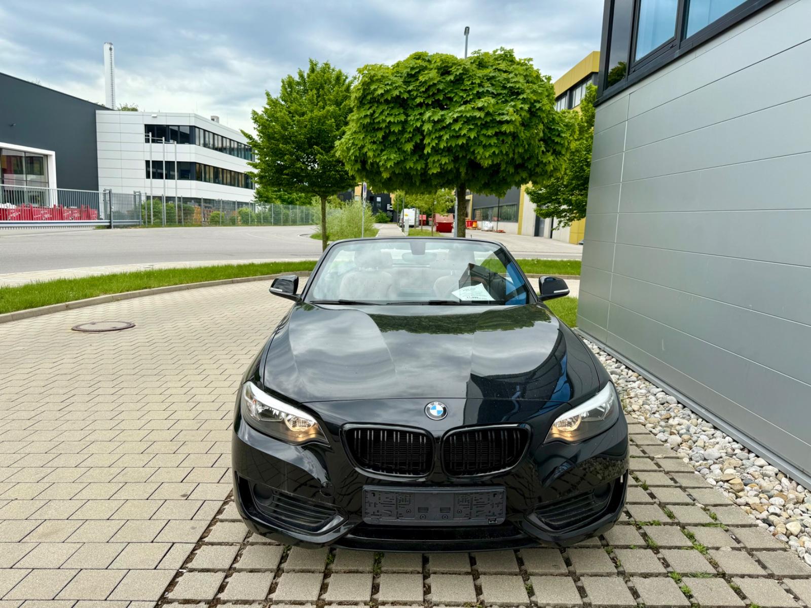 BMW 218i Cabrio Klima/Navi/PDC/Xenon