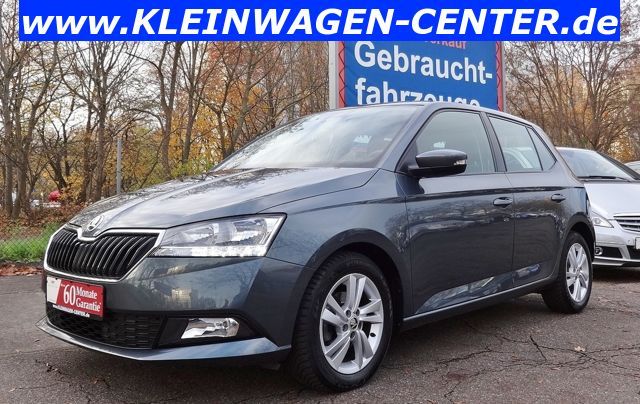 Skoda Fabia 1.0 TSI Ambition Klima/SHZ/Temp/Allwetter