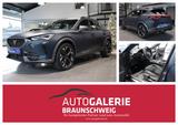 Cupra Formentor 2.0 TSI DSG VZ 4Drive *MATT-LACK* - Cupra Formentor Matt Gebrauchtwagen