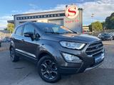Ford EcoSport Titanium*WINTER P*TEMP*XENON*SITZH*RKAM - Ford EcoSport aus 2021
