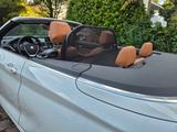BMW 230i Steptronic Cabrio M Sport Leder - BMW 230: 230i