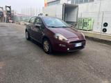 Fiat Punto 1.2 8V 5 porte Lounge - Fiat Punto: Rot