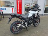 Honda NX500 ABS + Zubehör + 6 Jahre Garantie - NEU - Angebote entsprechen deinen Suchkriterien