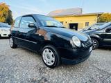 Volkswagen Lupo 1.4 cat Trendline EURO4 Benz - Volkswagen Lupo Trendline mit Benzin-Antrieb