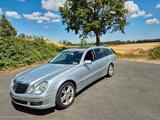 Mercedes-Benz 280 - Mercedes-Benz 280 mit Benzin-Antrieb: Leder, Kombi
