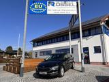 Skoda Octavia Combi DSG 2.0 TDI Selection AHK Navi Alu - Skoda Octavia Neuwagen