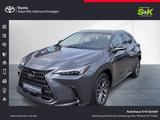 Lexus NX 350 350h Executive Line*SHZ*NAVI*360° KAMERA*