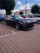 Ford Mustang Ecoboost Roush 2016 - Ford Mustang: Roush