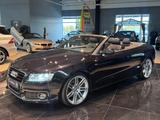 Audi A5 3.0 TDI quattro S-Line Leder Navi Xenon MMI - Audi A5: Cabrio, Line