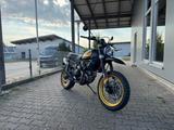 Ducati Scrambler Desert Sled - Kundendienst neu - DUCATI SCRAMBLER DESERT SLED