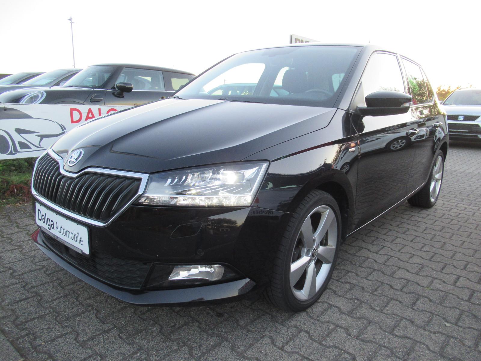 Skoda Fabia Clever/1.Hand/LED/Bi-Xenon/DAB/SHZ/TÜV NEU