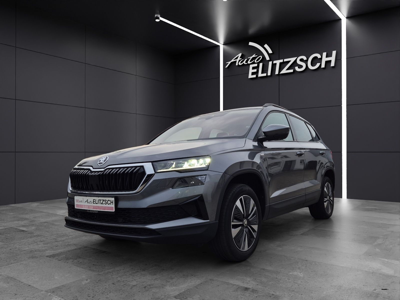 Fahrzeugabbildung SKODA Karoq TSI Tour DSG LED Navi ACC RFK SH