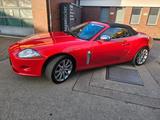 Jaguar XK8 - Jaguar aus 2007