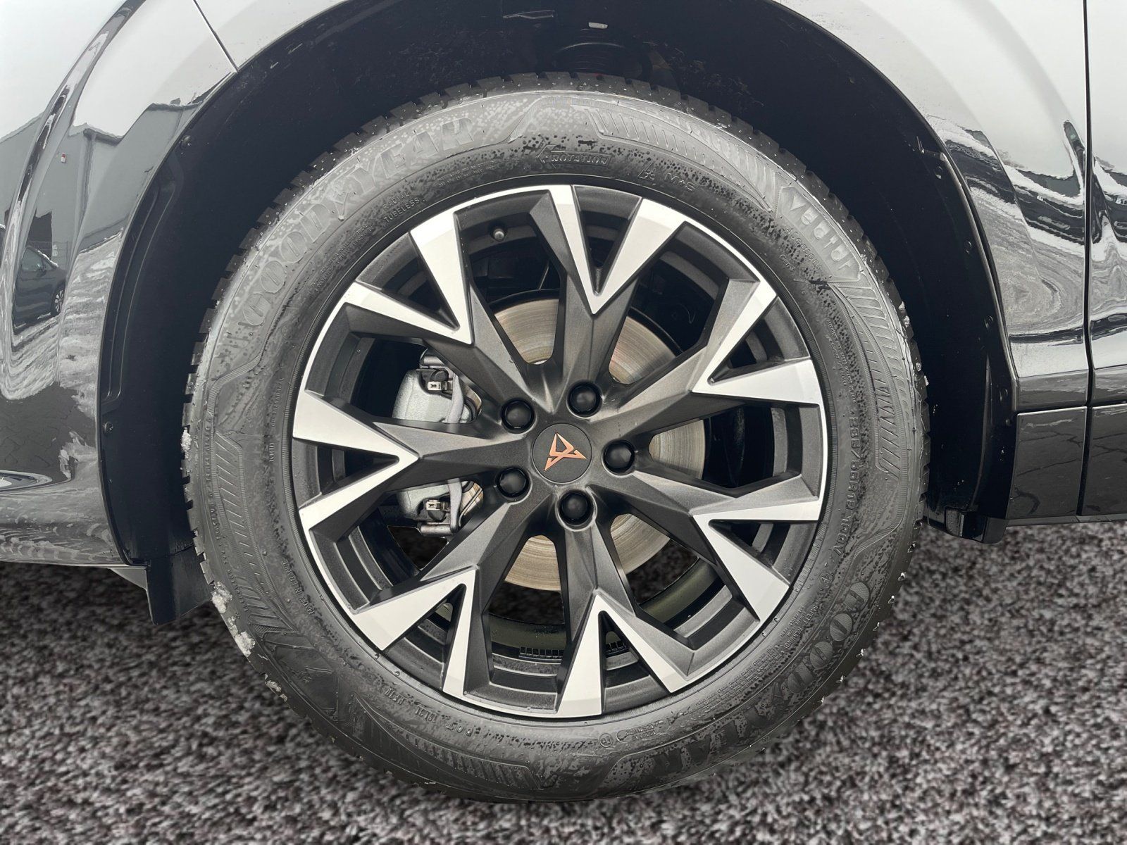 Cupra Terramar - Bild 7