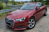 Audi A4 40 TFSI S tronic -2.0 - Audi A4: Rot